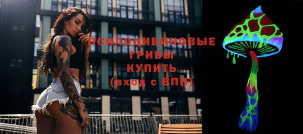 стафф Липки