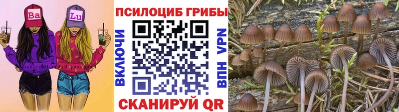 Псилоцибиновые грибы прущие грибы  гидра как зайти  Томилино 